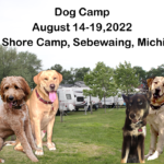 Thoughts of Dog Camp 22