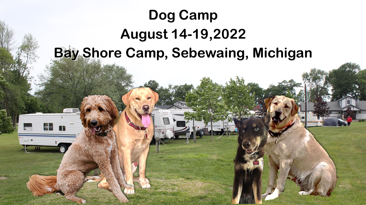 Thoughts of Dog Camp 22