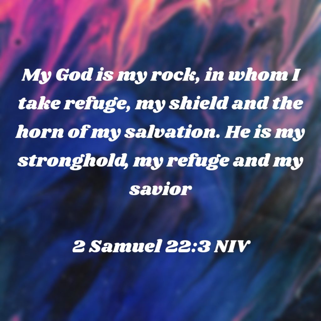 2 Samuel 22:3